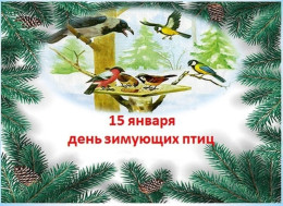 Всероссийский день зимующих птиц.